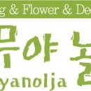 나무야놀자 이미지