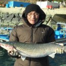 어구마을 (주)거제타임즈