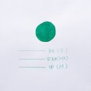 앙코라 티스토리