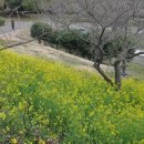 걸매생태공원 이미지