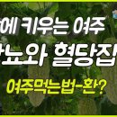 (주)헬로팜 이미지