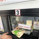 교동동로 | 인천 강화도 교동 가볼만한 곳 : 화개정원 전망대 여행 당일치기