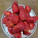 설향딸기 추천 산지직송 담다설향딸기🍓