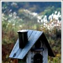 이건목장 이미지