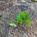 대명농자재 이미지