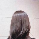 쌍용헤어 네이버블로그