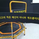 새솔점핑다이어트