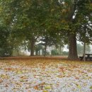 사나래캠핑장 이미지