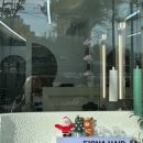 피오나헤어 이미지