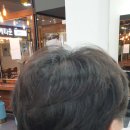 토리헤어노형 이미지