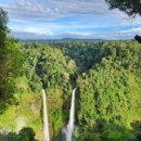 성진농장 2 이미지