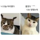 아게루 - 마포구 와우산로 51-6 | 아게루