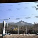 못된쭈꾸미 | 북한산 가족외식 한소쿠리쭈꾸미 본점 불향직화 쭈꾸미