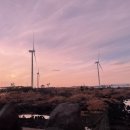 환이네농장 이미지