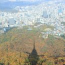 서울청진동해장국