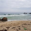 샵21 민박 이미지