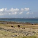 섭지코지 이미지