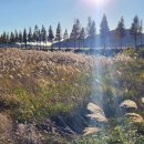 공공용 14 이미지