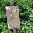 P-6716 | 제주 흑돼지 맛집 오겹살과 전복까지! 꺼멍집