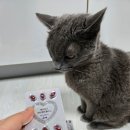 휴먼아이케어 이미지