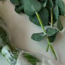 송은농장 이미지