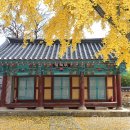 장수향교 이미지