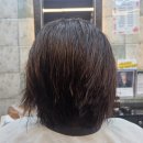 유진희헤어포인트 네이버블로그