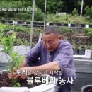 사노라면 티스토리