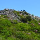 가지산 - 중구 | 가지산