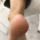 레푸스동탄