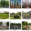삼선노인복지관 | 도심 속의 정원, 공원 나들이 (4탄 : 낙산공원, 보라매공원)