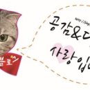 지오국수