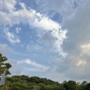 로이존 | [2026 제1회 남산서머페스티벌 후기🌙🎤💚| 로이킴·존박]