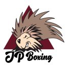 방 복싱 이미지