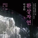 드영미술관 이미지