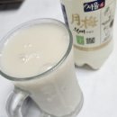 서울 월매 막걸리 솔직 후기! 토치에 구운 황태채와 집술 찐조합 🍶