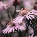 학익여자고등학교 이미지