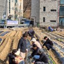 진숙농장 이미지