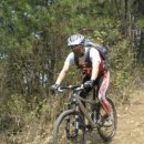 내서읍538 이미지