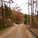 흥부골자연휴양림 이미지