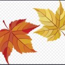 fall (폴, 가을, 떨어지다, 펄펄(내리다)) 어원 이미지