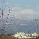 무등산 농원 이미지