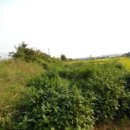 연향중앙상가길 이미지