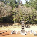 제주 불탑사 오층석탑 이미지