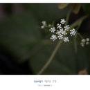 장성JC 이미지