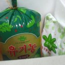 오가원 이미지