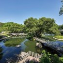 조삼모아 이미지