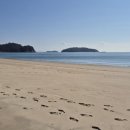 대이작치안센터 이미지