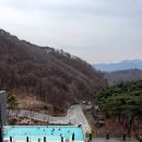 [제천]3월 제천여행ㅣ포레스트리솜 해브나인 힐링스파 S20 타워클린 룸 후기