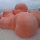 도도리파크(실외) 이미지